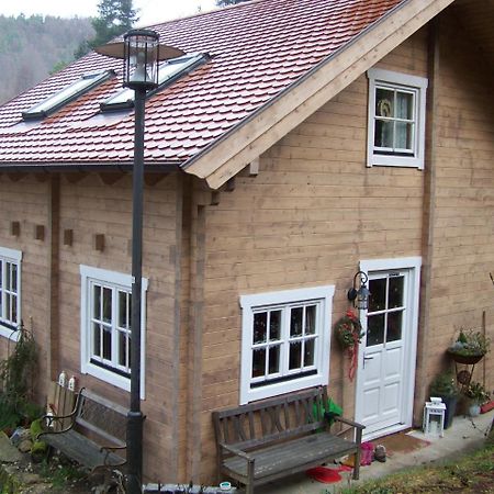 Pension Frauenschuh Hirschbach  Exterior photo